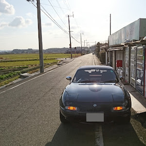 ロードスター NA8C