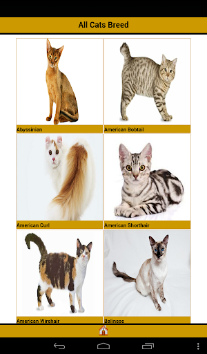 Complete Cat Breeds