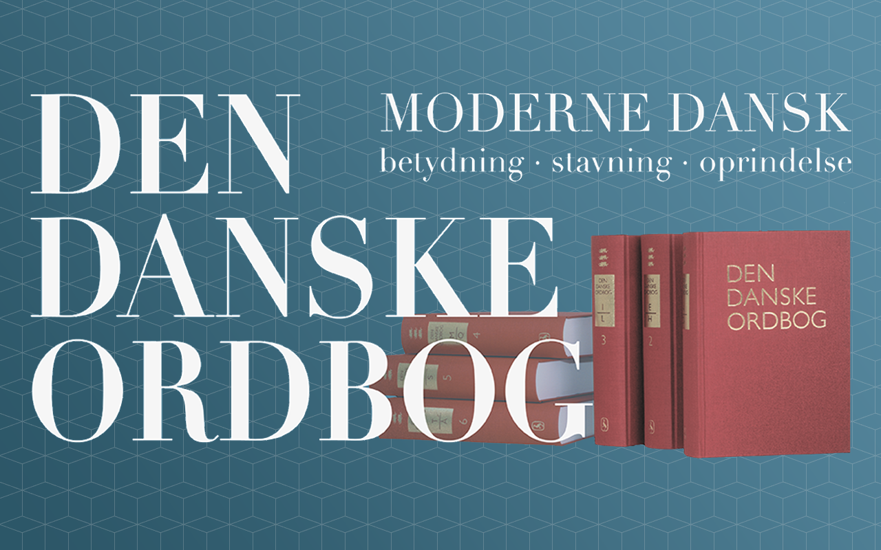 The Danish Dictionary Preview image 2