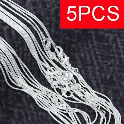 Title 2, Silver Plated 1MM Snake Bones Chain offers a de...