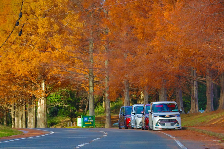 タンクカスタムの皆の愛車・同車種コラボ・紅白コラボ・ミラーレス撮影・ミラーレスのある生活に関するカスタム事例の投稿画像2枚目