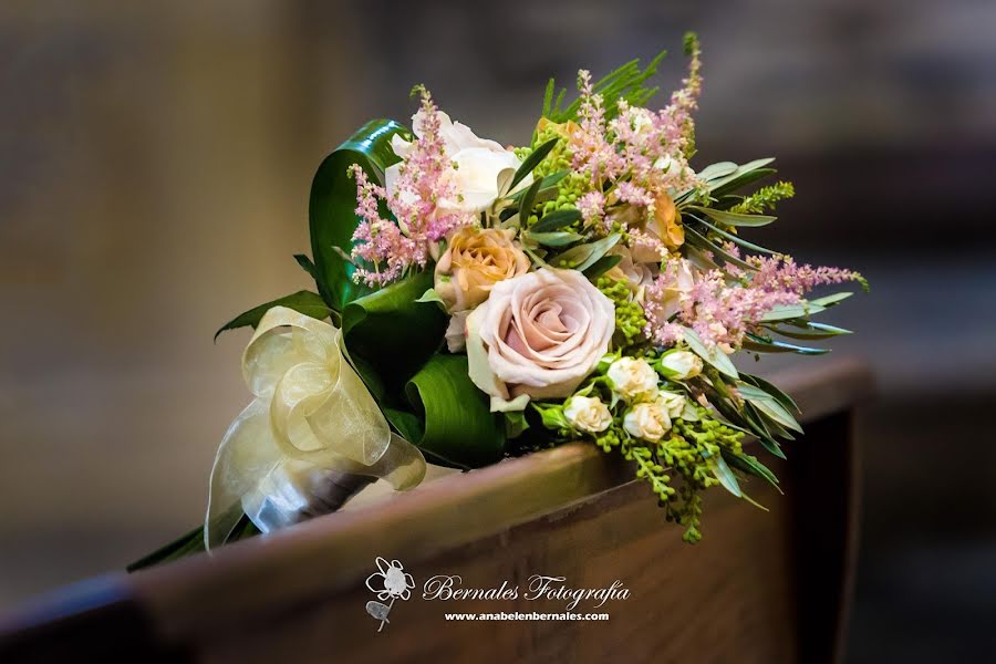 Fotógrafo de bodas Anabel Bernales (anabelbernales). Foto del 23 de mayo 2019