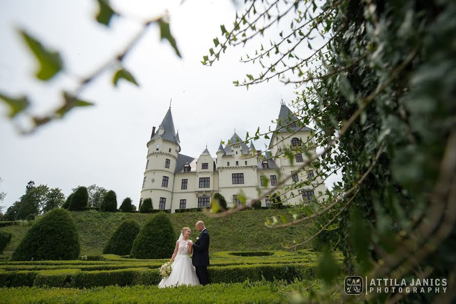 Fotografo di matrimoni Attila Janics (attilajanics). Foto del 3 marzo 2019