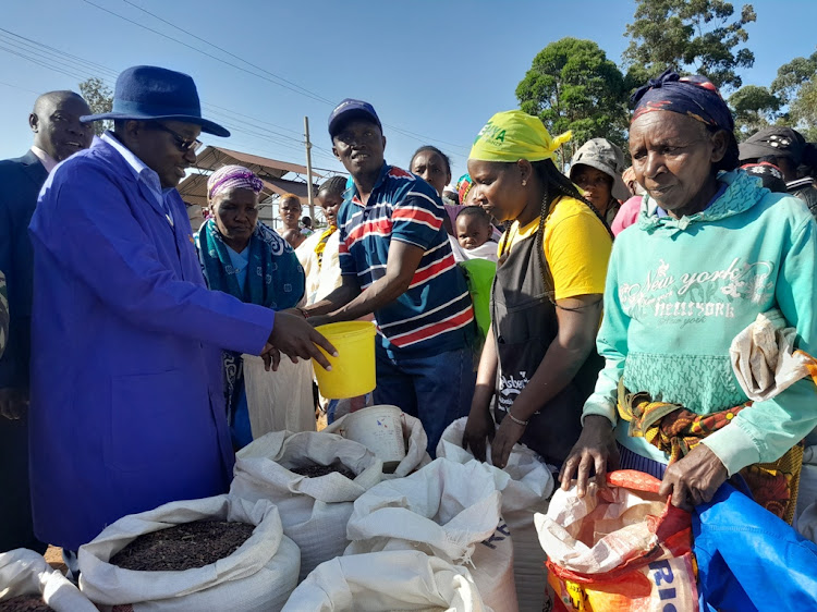 Juja MP George Koimburi distributing relief food to Juja residents at Milima-ini village on Friday