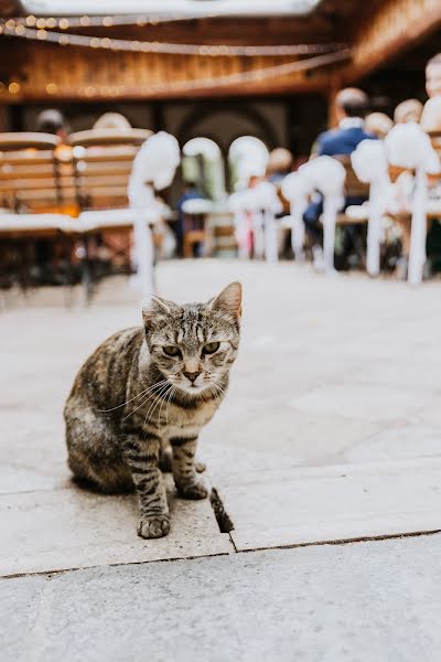 Fotógrafo de bodas Gabriella Hidvégi (gabriellahidveg). Foto del 15 de agosto 2022