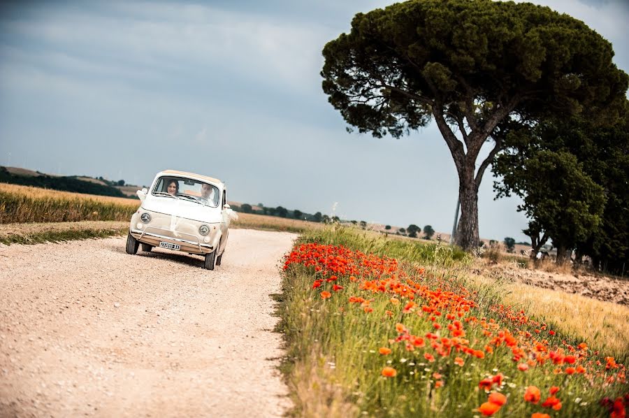 Fotografo di matrimoni Nicola Centoducati (nik100). Foto del 14 febbraio 2019