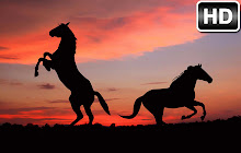 Horses Wallpapers New Tab by freeaddon.com small promo image