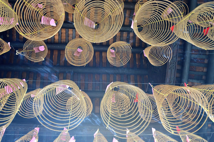 Beautiful curled incense hangs from a  temple in Hanoi, Vietnam. 