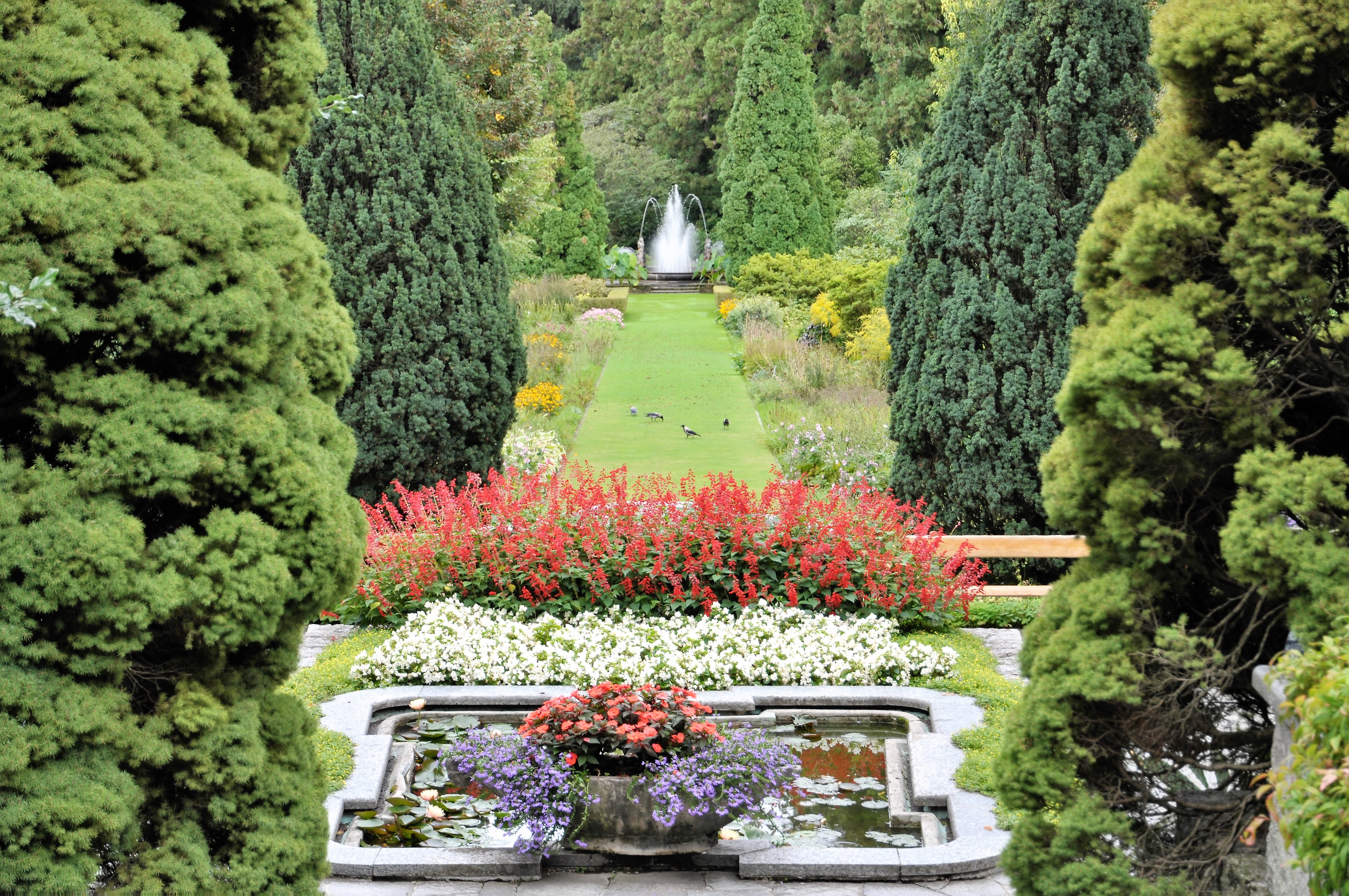 maestri giardinieri di marco_massimi