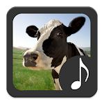 Cow Sounds Apk