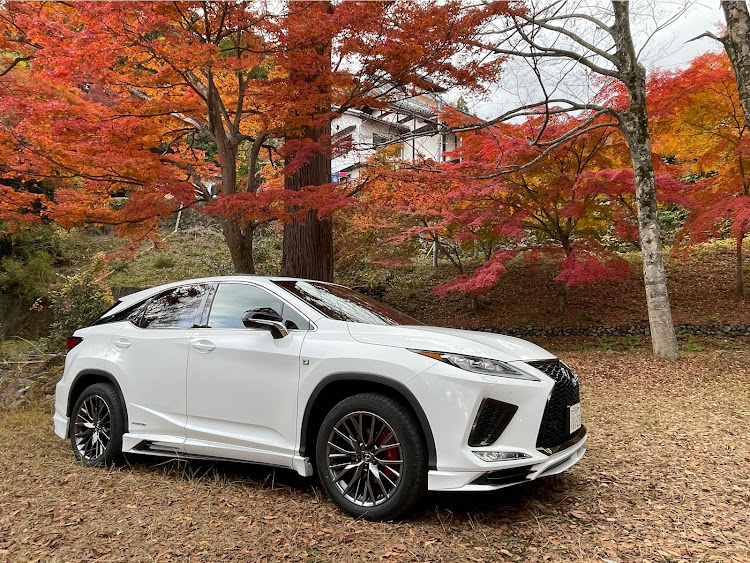RXの12月もよろしくお願いします・ドライブ・紅葉ドライブに関するカスタム事例の投稿画像3枚目