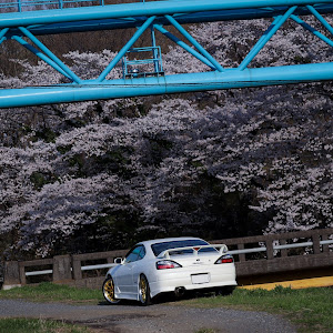 シルビア S15