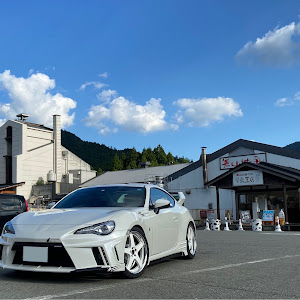 86 ZN6