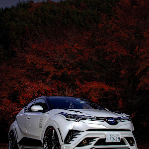 C-HR ZYX10