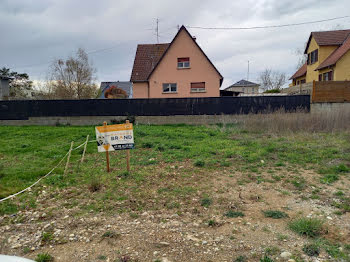 maison neuve à Wolfgantzen (68)