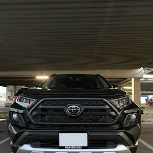 RAV4 MXAA54