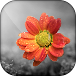 Cover Image of Descargar Color Splash Effect Photo Editor : Black & White 1.6 APK