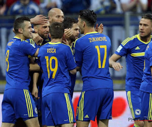 Un cadre bosnien incertain pour le match face aux Diables 