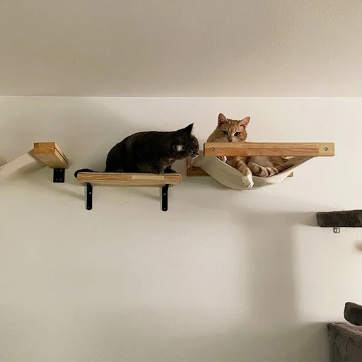 Wall Mounted Cat Climbing Wood Shelves Cat Scratching Post with Stairway and Jumping Platform Pet Furniture Indoor Cat S