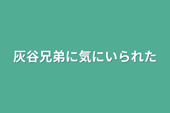 灰谷兄弟に気にいられた