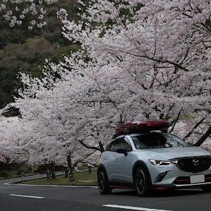 CX-3 DK5FW