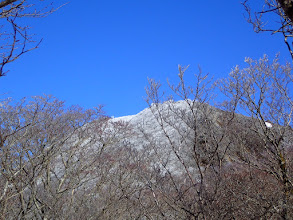 霧氷か？