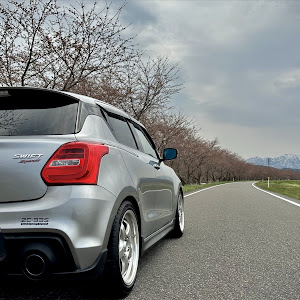 スイフトスポーツ ZC33S