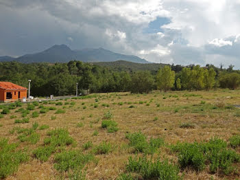 terrain à Prades (66)