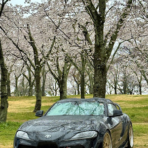 スープラ DB42