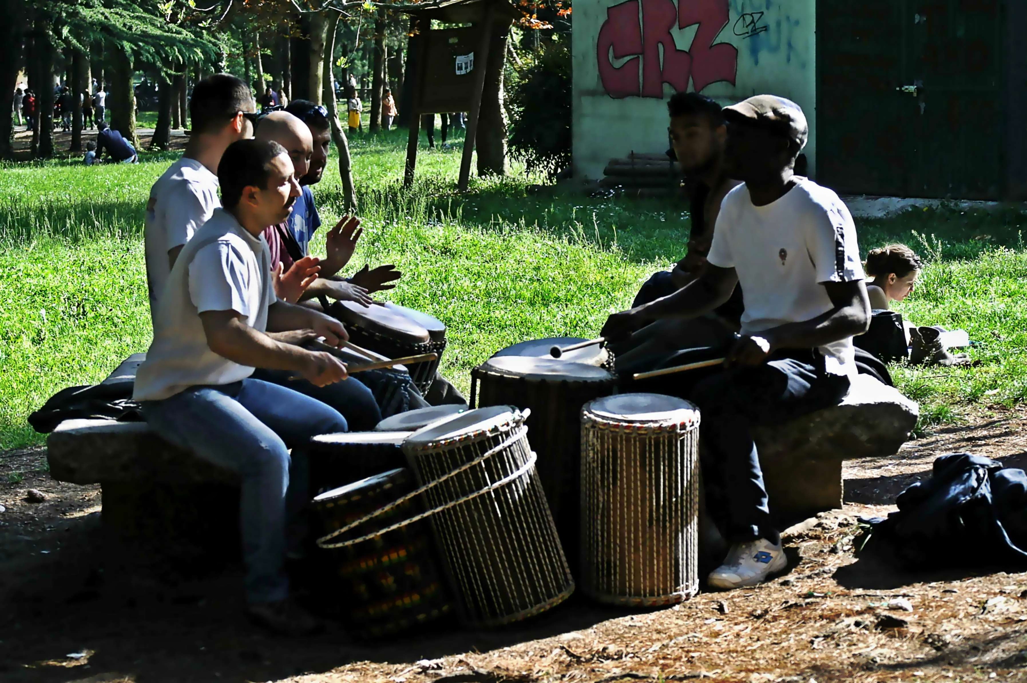 Percussioni di acquario