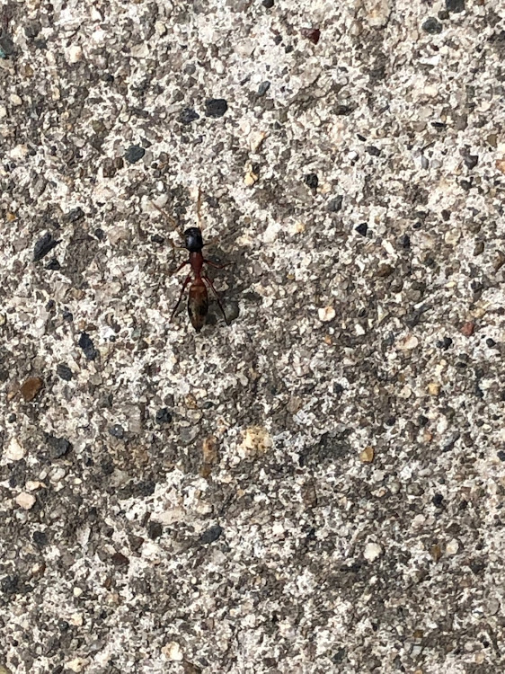 ワゴンRのDIYに関するカスタム事例の投稿画像3枚目