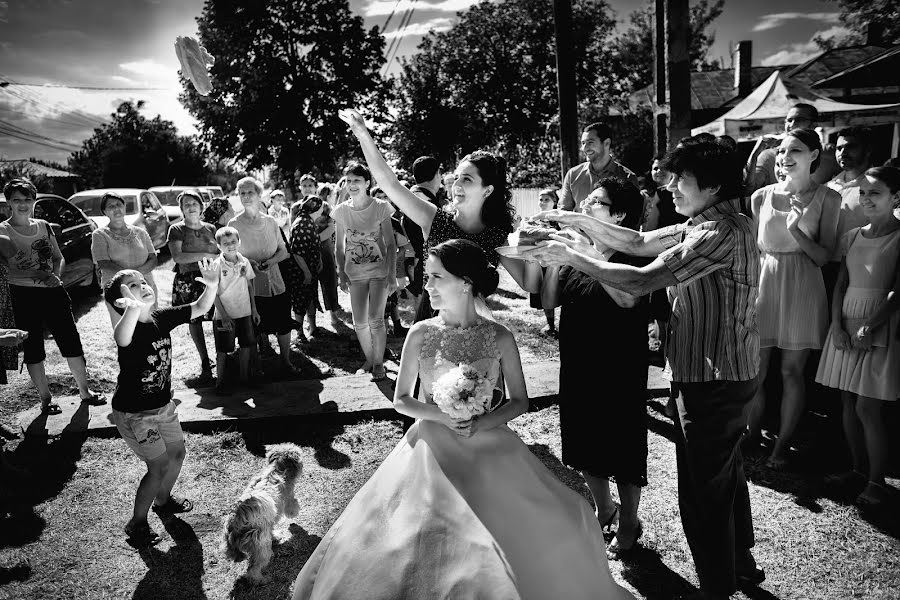 Fotograf ślubny Marius Tudor (mariustudor). Zdjęcie z 19 września 2014