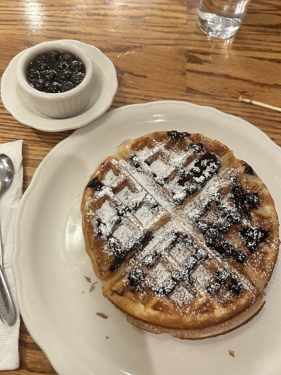 GF Blueberry Waffle