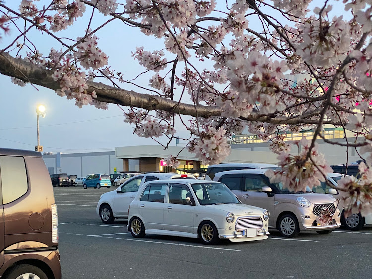ミラジーノのmgfc九州・オフ会・阿蘇ファームランド・DIY・戦争反対　世界平和に関するカスタム事例の投稿画像5枚目