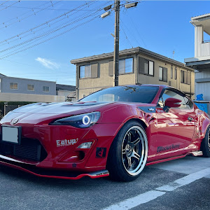 86 ZN6