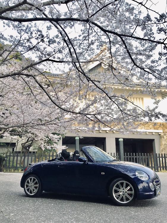 コペンのドライブ・桜とコラボ・田原城付近・絵になるクルマに関するカスタム事例の投稿画像3枚目
