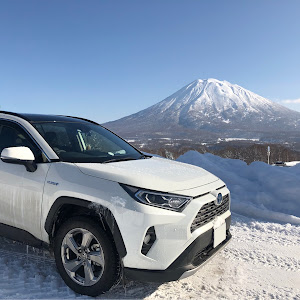 RAV4 ACA36W