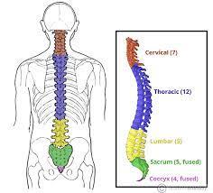 Diagram

Description automatically generated