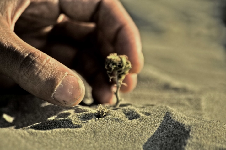 La Sabbia crea,la mano Raccoglie di ChristianGiulianetti