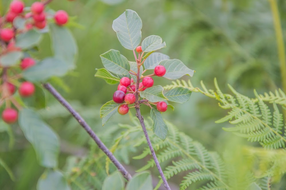 natuur-winterslijk