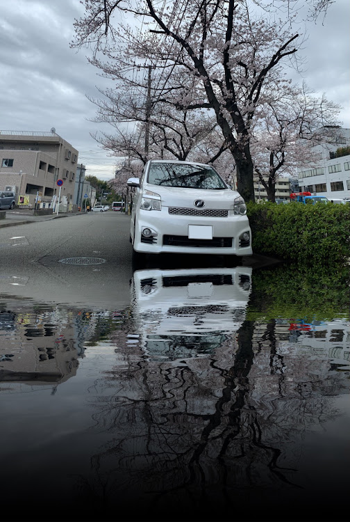 の投稿画像2枚目