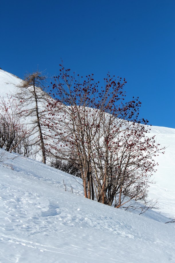 Col du lautaret bis, mais le mardi matin.. J8pzpV9Rf_610CDMR29FABU-vIXv-Q-HqTek_Ba8V37UFQ1RjVkdbjIXAPqBWhbPJ--hJpY8Kl5pNe7M___EMdl5I8VstwHGqpmfV_s1FIYAxEZoELdZ2xQHm7hMUxrObJqj_barDmVbxI_qyU0wdSBC24A-PIEXmW72QCYylN41FQPZiCZgLOHDl_K0DBi5TkqxR77v6U8ce8-4_-W1ZQaxasjEZaGqA2Jf4qIhdz6Nqw6jUnHr5Fs7Ruy7sMYjD9lTPiHbI7QozFgrRIhDxPPc8jEqxvaUhLbud3oKa0Aecr0QUIHJE9Et8k8gOD2gqeHDmmfVzIjddFnH7e2oeBPCz3fsZyBmZhOimS94h8OFgykfnMCGDMuAU7WgJvSjPM5BFh9Bi3tt68GL-6f_ILHB1jsU0-hSKE4vvgRXPus61gzYftMySND35fYmBmj7oHkNs_gg4j5bQEOVWEwL1HQgWHyfn0vB4ScB-6KgIvlU5BNEZlmKEeXtaC3d_ScLEgL8Ngwe8OHZq36NG4iKoerWAhF4XUhELC_A8RS7b7G9IfxEahh5V0It-trScomp0ScXRghhaDt4BmWVwvvPuRsa-WkEBeNhf6ih7dotP6iRNSqJVXum2QTsstDhKwdPzLUNsfmn1qvJpTcAY0Qyy3jI44v4CGWOoFJCH9-dgEE=w612-h917-no