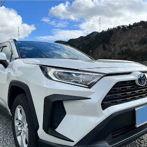 RAV4 AXAH54