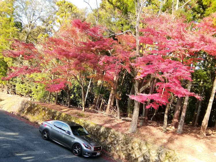 の投稿画像14枚目