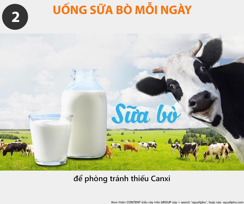 Uống sữa bò là ngu đó nha ...