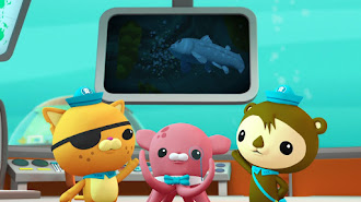 Octonauts, Operation Deep Freeze: Season 1 Episode 105 - TV on Google Play