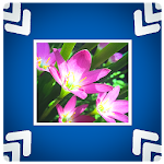 Cover Image of Скачать QReduce: Quick Reduce Photo 1.3.4 APK