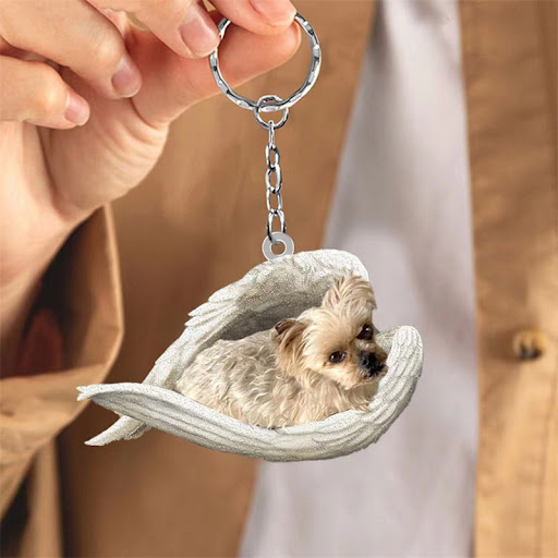 Title 1, Creative Sleeping Angel Pet Keychain Pendant A ...