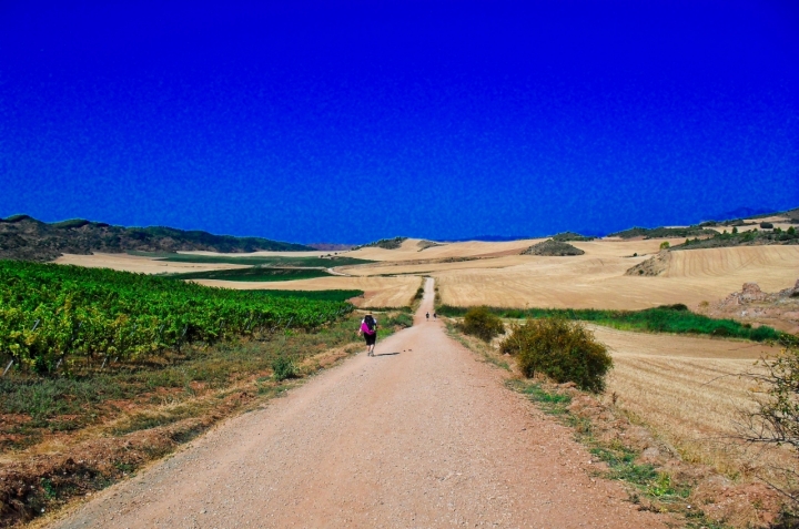 Strada per santiago di maxdaj