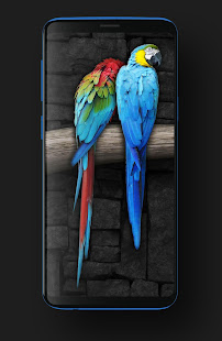Kawaii Cute Animal Wallpapers HD(圖6)-速報App